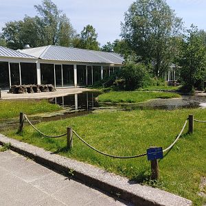 African penguin walkthrough enclosure - first part