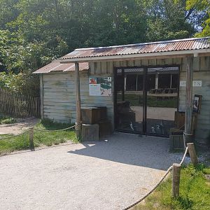 African penguin walkthrough enclosure - indoor enclosure