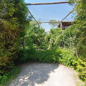 Ibis aviary - side viewing point