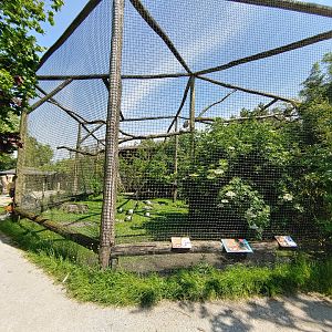 Ibis aviary - front viewing point