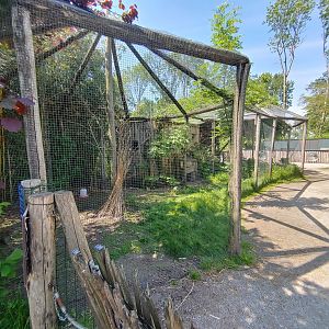Petting zoo - aviary