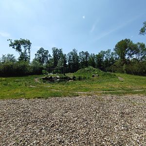 Polar bear enclosure - right enclosure