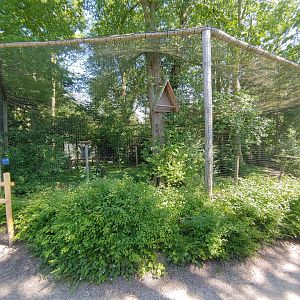 European eagle-owl aviary