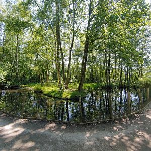 Red-crowned crane enclosure