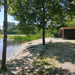 Harbour seal enclosure - beach