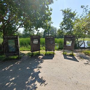 Harbour seal enclosure - plastic soup education boards