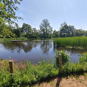 Harbour seal enclosure - viewing point near the Gibbon island