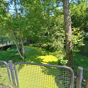 Asian small-clawed otter enclosure