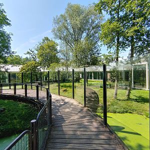 Giant otter enclosure - outdoor enclosure
