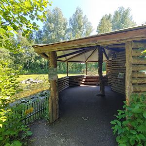 North American beaver enclosure - viewing post
