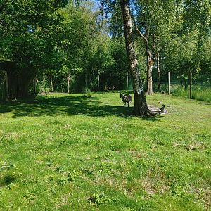 Kangaroo island - view at the back of the island