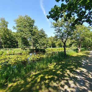 Kangaroo island - a look at the island