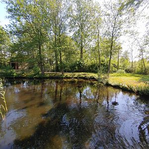 Emu enclosure - view from the bridge