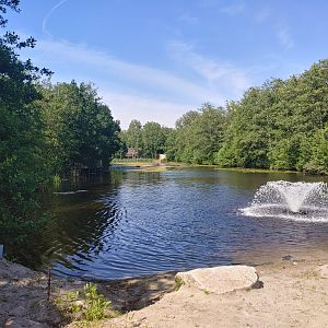 Former sea lion enclosure