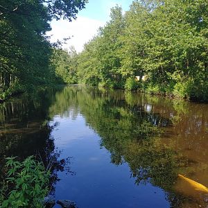 Former waterfowl pond