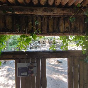 Humboldt penguin enclosure - viewing point at the nesting boxes