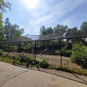 Pelican aviary - view at the side