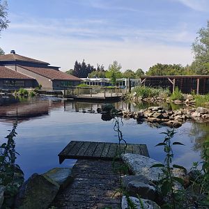 Fur seal enclosure - view from Humboldt penguin enclosure