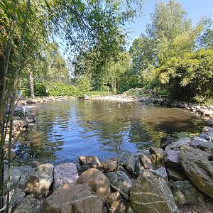 Humboldt penguin enclosure