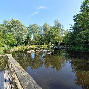 Fur seal enclosure - view from the viewing deck