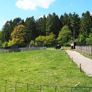 Farm area - Walk-through area with Chicken pens and cooks, Domestic goats, Domestic sheep and Domestic turkeys , 2021-05-29