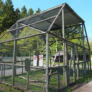 Farm area - Turkey aviary, 2021-05-29