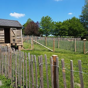 Farm area - Chicken pen, 2021-05-29