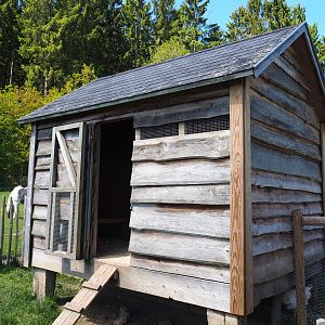 Farm area - Chicken coop, 2021-05-29