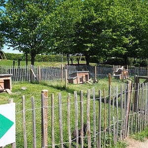 Three chicken pens, 2021-05-29