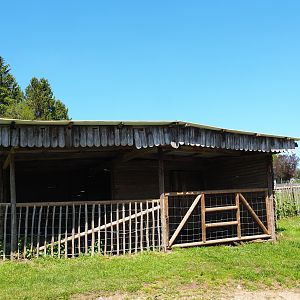 Farm area - Pony and Domestic sheep barn, 2021-05-29