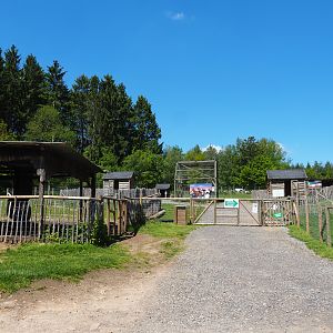Farm area - Access to walk-through area with goats, sheep, turkeys and chicken pens, 2021-05-29
