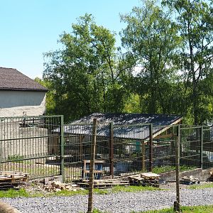 Disused former Eurasian brown bear pit, 2021-05-29