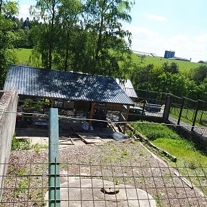 Disused former Eurasian brown bear pit, 2021-05-29