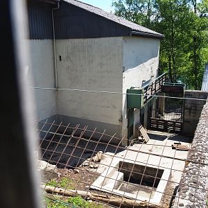 Disused former Eurasian brown bear pit, 2021-05-29