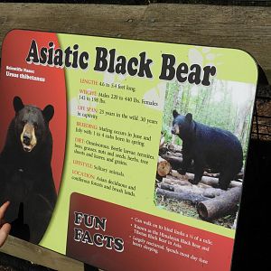 Asian Black Bear sign - Oops!