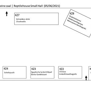 Reptielenhuis Kleine Zaal | Reptile House Small Hall (05/06/2021)
