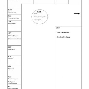 Reptielenhuis Grote Zaal | Reptile House Big Hall  (05/06/2021)