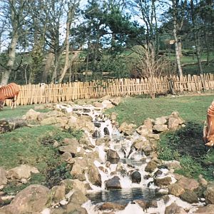Bongo enclosure 2005