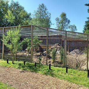 Old Serval-enclosure - refurnishing