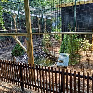 European wildcat-enclosure