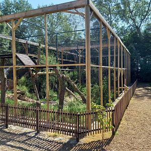 Jaguarundi-enclosures