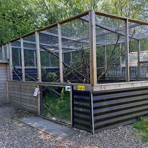 Asian palm civet-enclosure