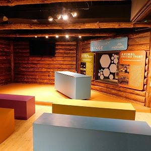 Discovery Zoo Stage - Sep. 2020