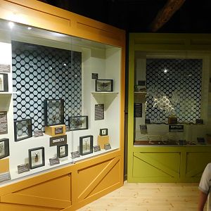 Discovery Zoo Stage - Sep. 2020