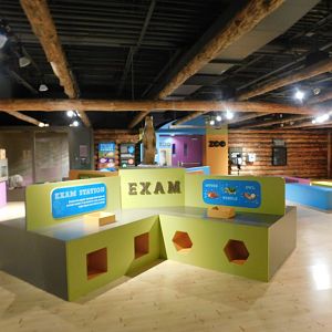 Discovery Zoo Stage - Sep. 2020