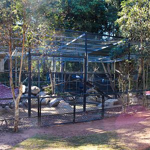 Baboon Enclosure