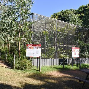 Golden Lion Tamarin/Pygmy Marmoset Enclosure