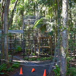 Future Siamang Enclosure