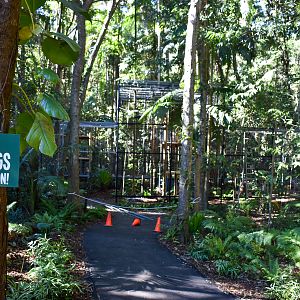 Future Siamang Enclosure