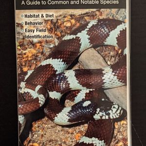 Snakes of Southern California